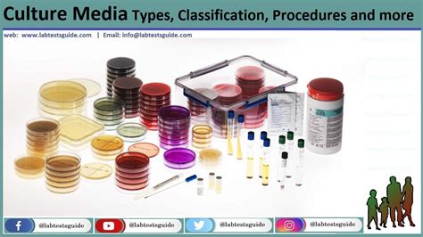 soft agar deep tests for what type of media|Culture Media: Types, Preparation, and Uses .